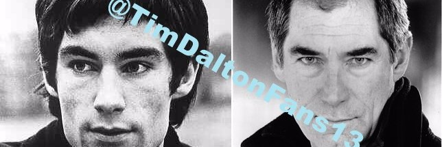 TimDaltonFans13's profile banner image