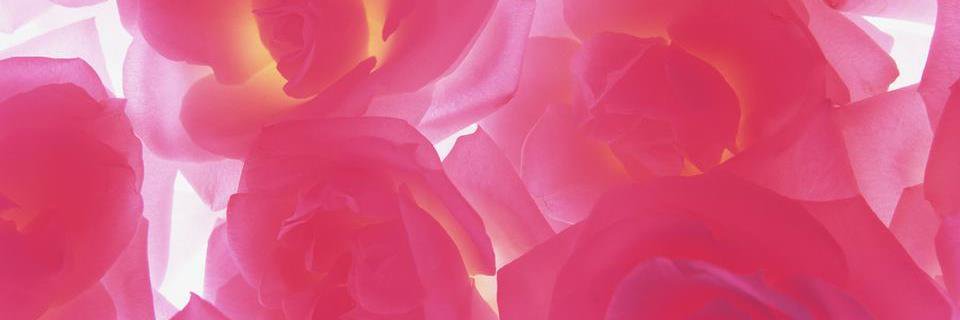 BlogDiariesRT's profile banner image