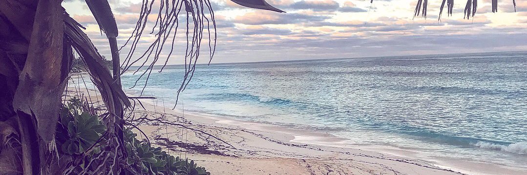 Elizabeth Slusher banner