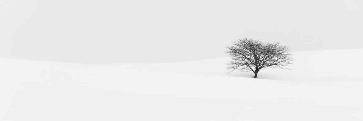 agcagul's profile banner image