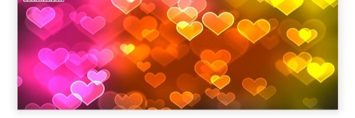 Gabriela banner