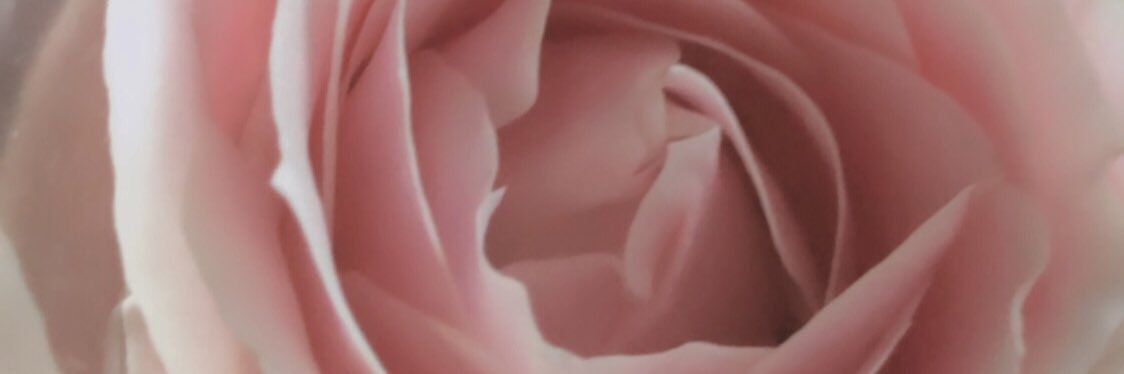 fildaalfaa's profile banner image
