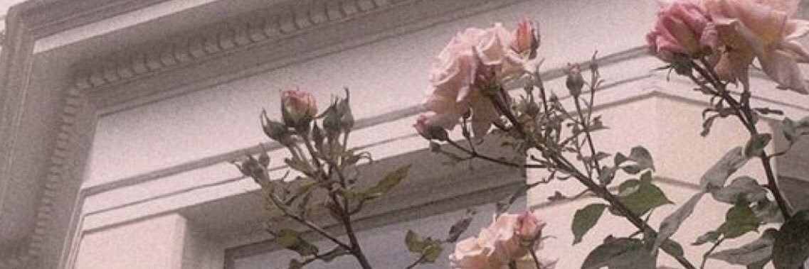 ___shuq's profile banner image