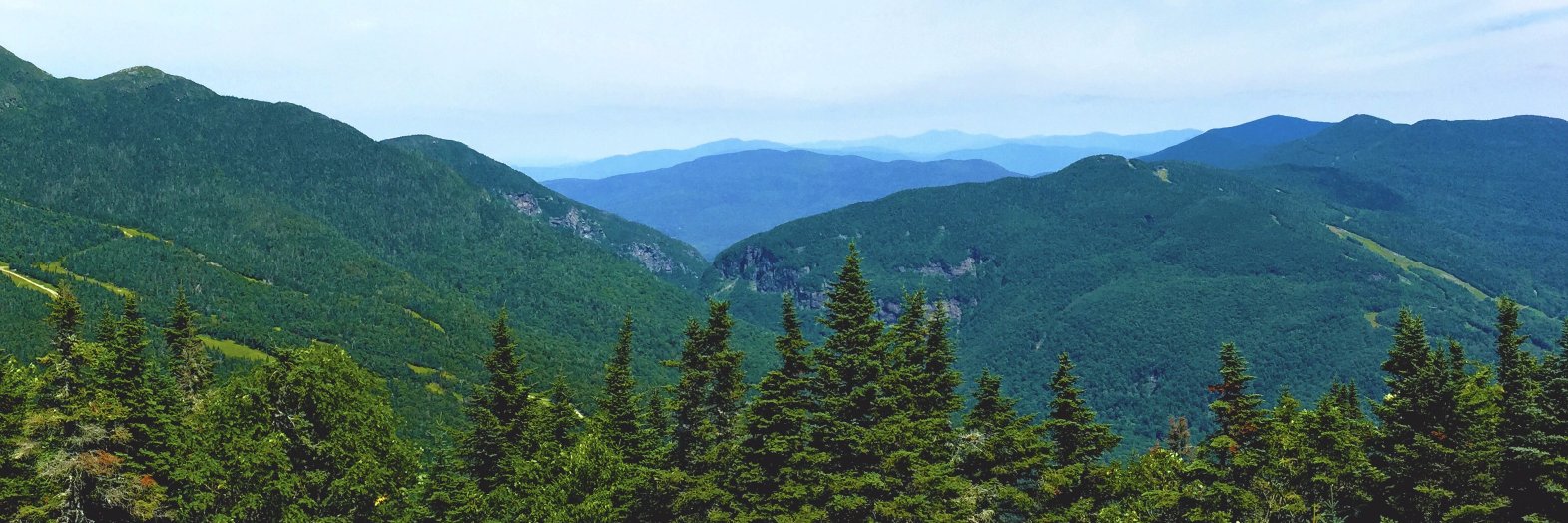 Vermont_CBD's profile banner image