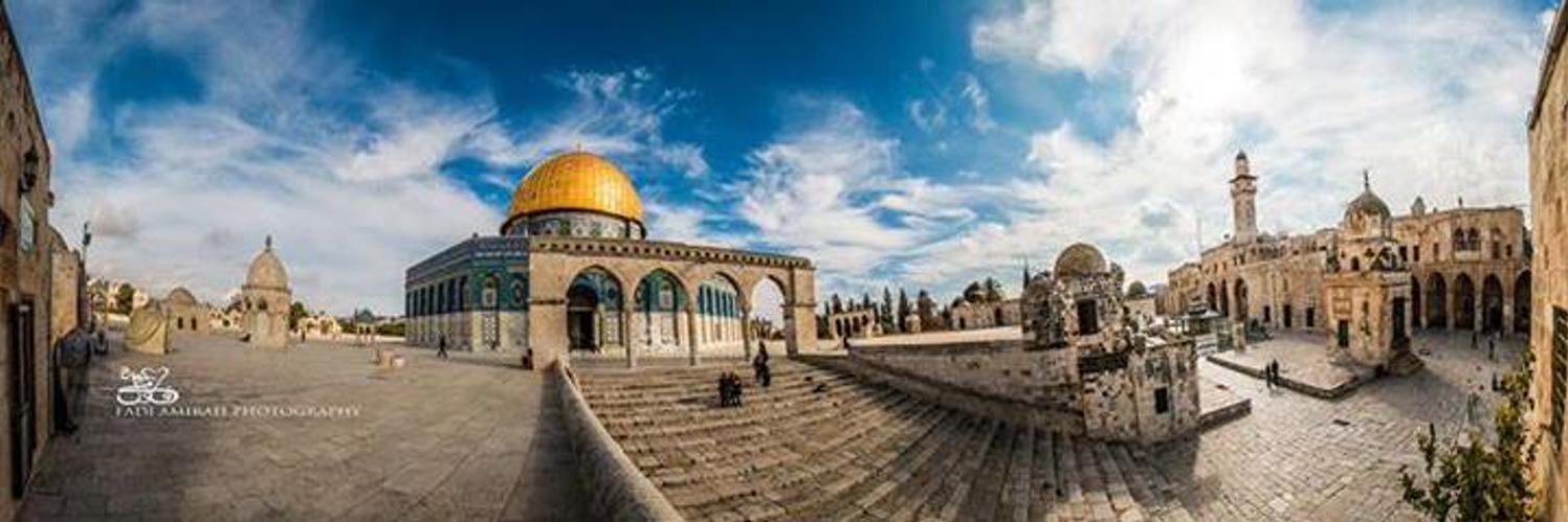 Ahmed Selim 🇵🇸🇵🇸🇵🇸🇵🇸💔 banner