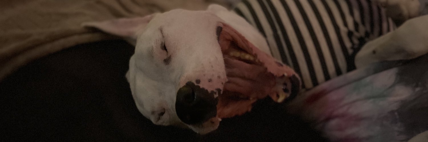 LilxRaexRae's profile banner image