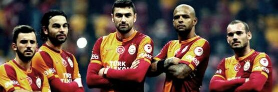 ozlemsezgin4's profile banner image