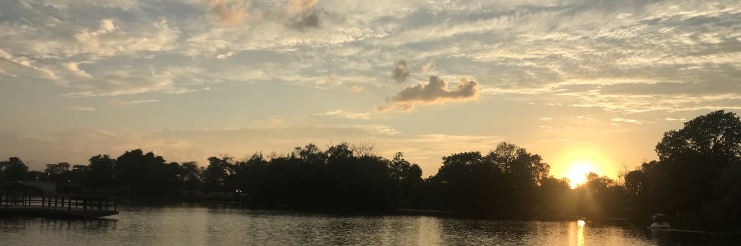 archipelican's profile banner image