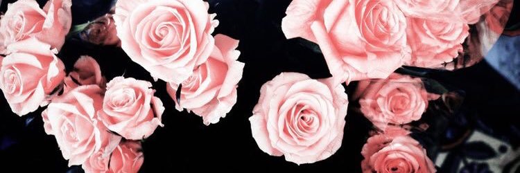 _tdayne's profile banner image
