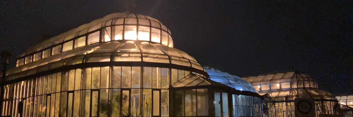 Nick Williams banner