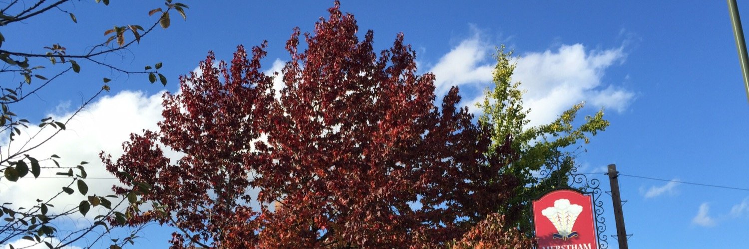 Love Merstham banner