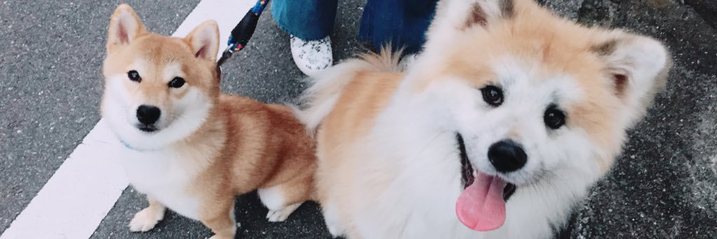 f_59yun's profile banner image