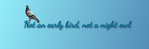 💙 Just a permanently exhausted pigeon 💙 banner