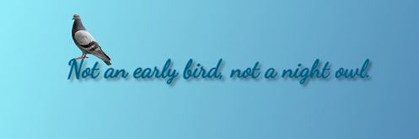 💙 Just a permanently exhausted pigeon 💙 Profile Banner