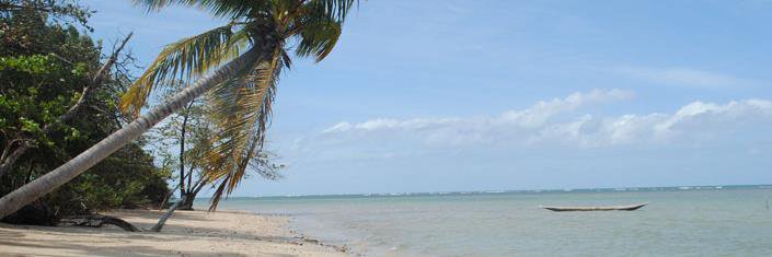 zeliaslopes's profile banner image