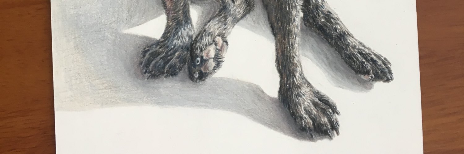 SheenaHsinLee's profile banner image