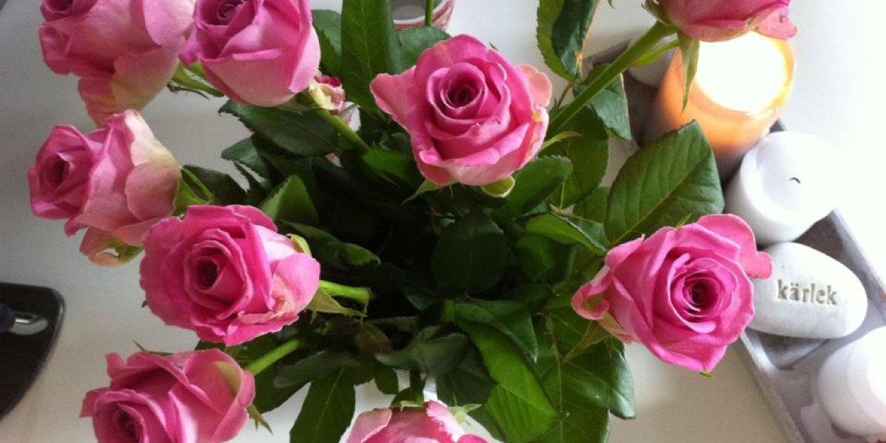 anna_e_larsson's profile banner image