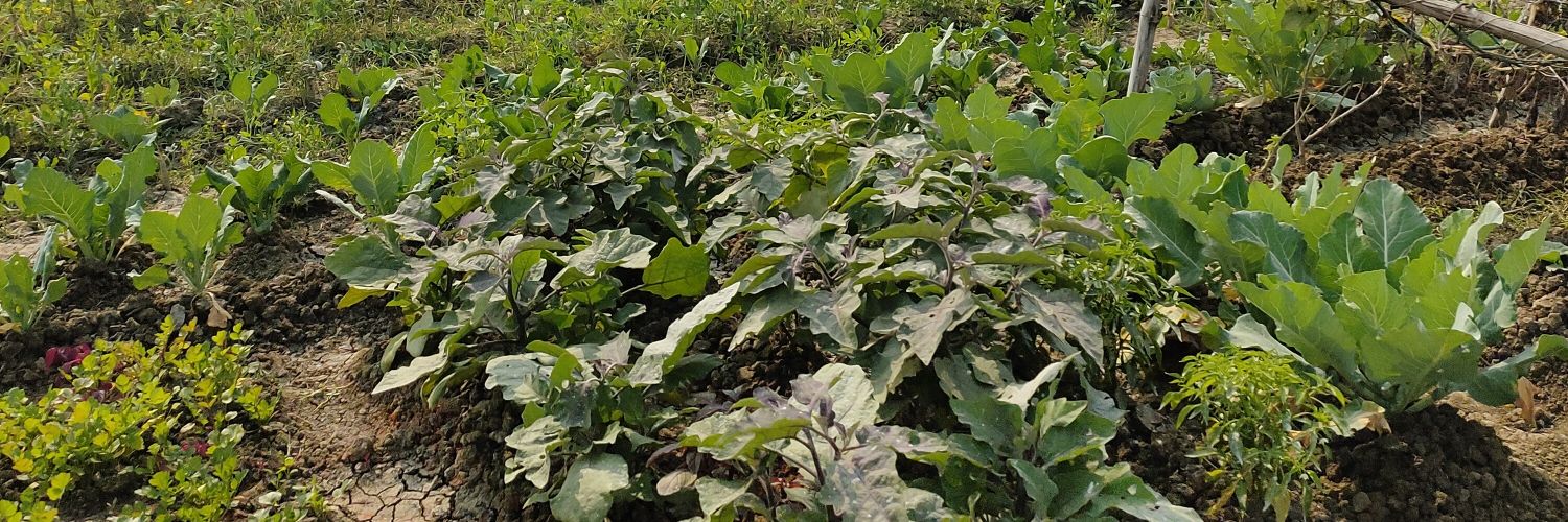 Binay Shankar banner