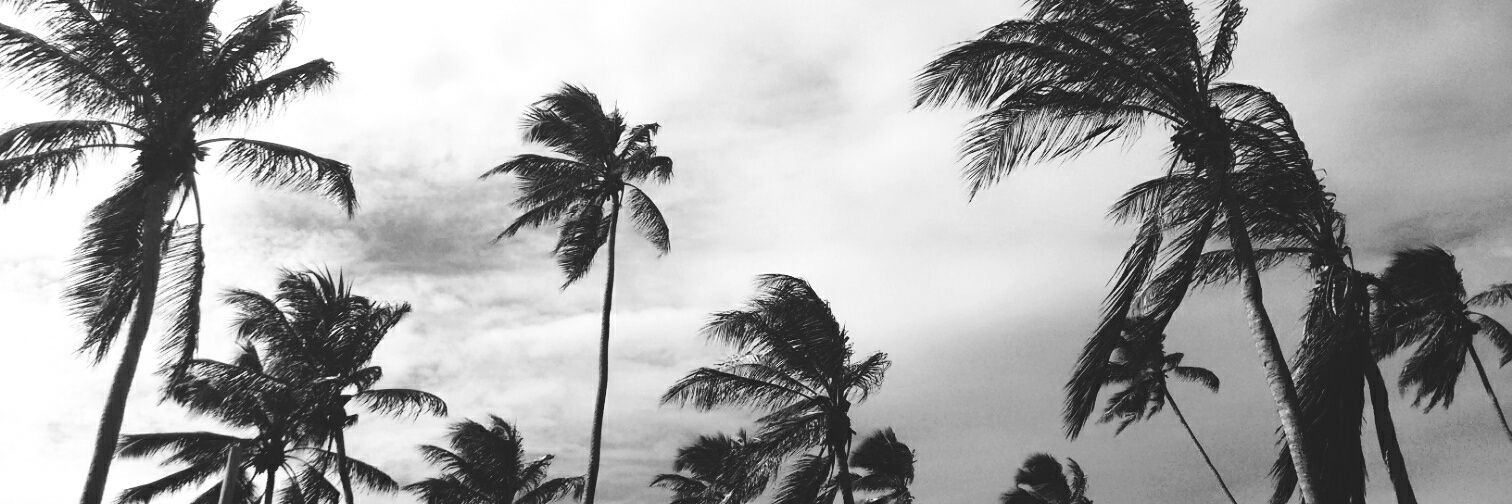 agusparise's profile banner image