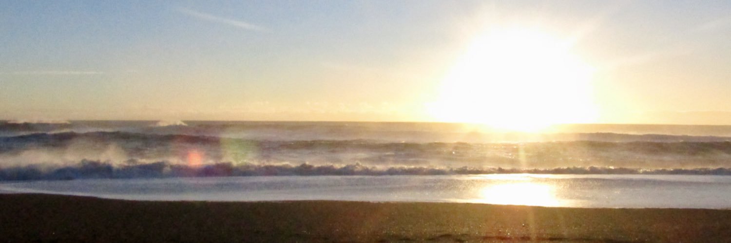 Matt O'Connell banner