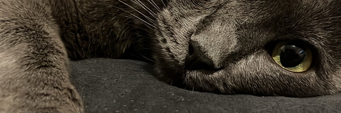 MinhasNeuras's profile banner image