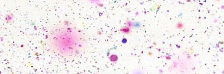 ___aaaaaaai's profile banner image