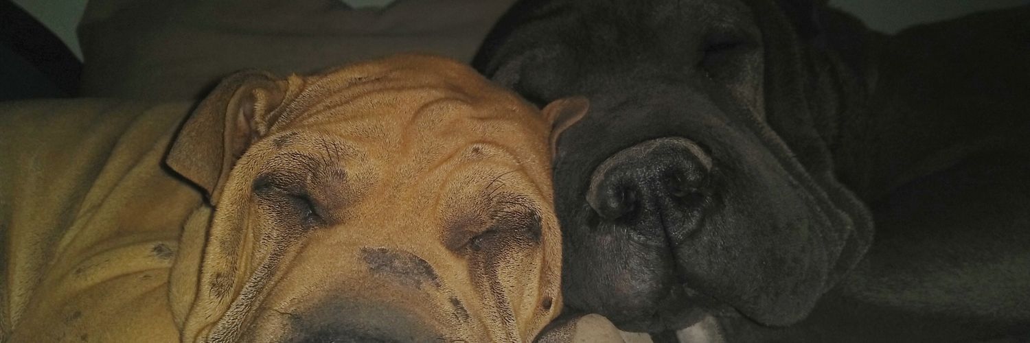 AgusMartin_66's profile banner image