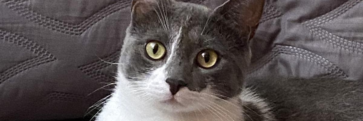 leminajj's profile banner image