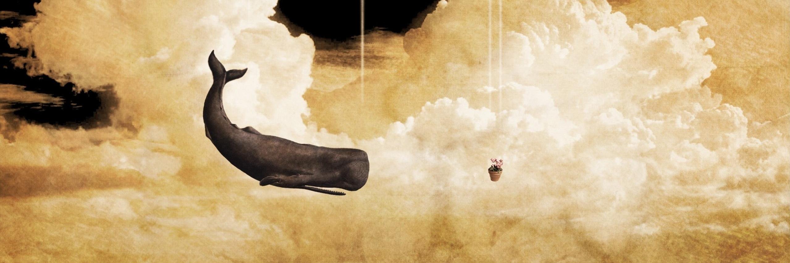 JCSactor's profile banner image