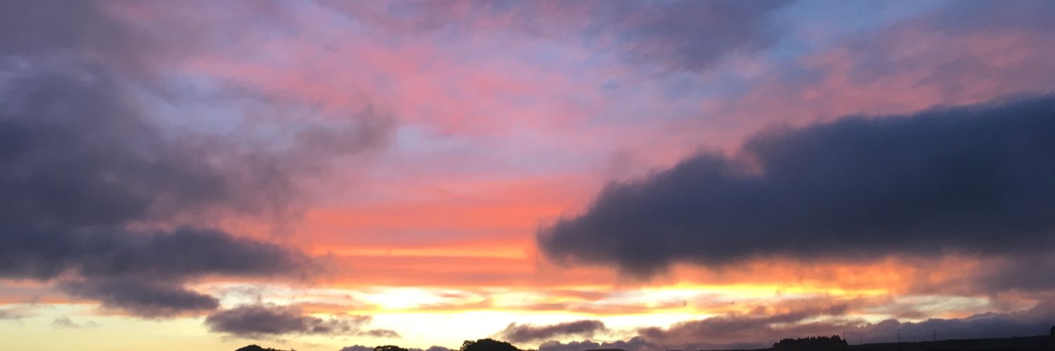 MonicaAlvarez07's profile banner image