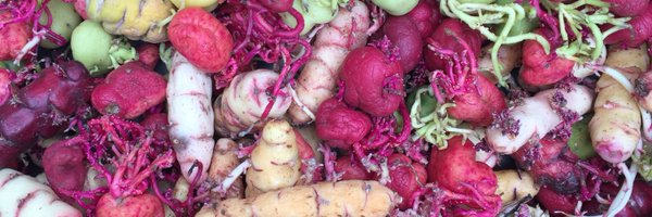 VirgilioCentral Profile Banner