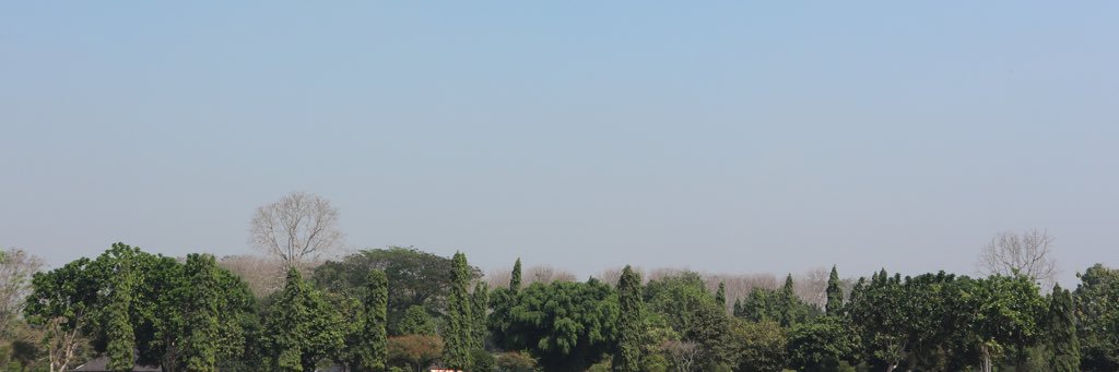 ayagratsia's profile banner image