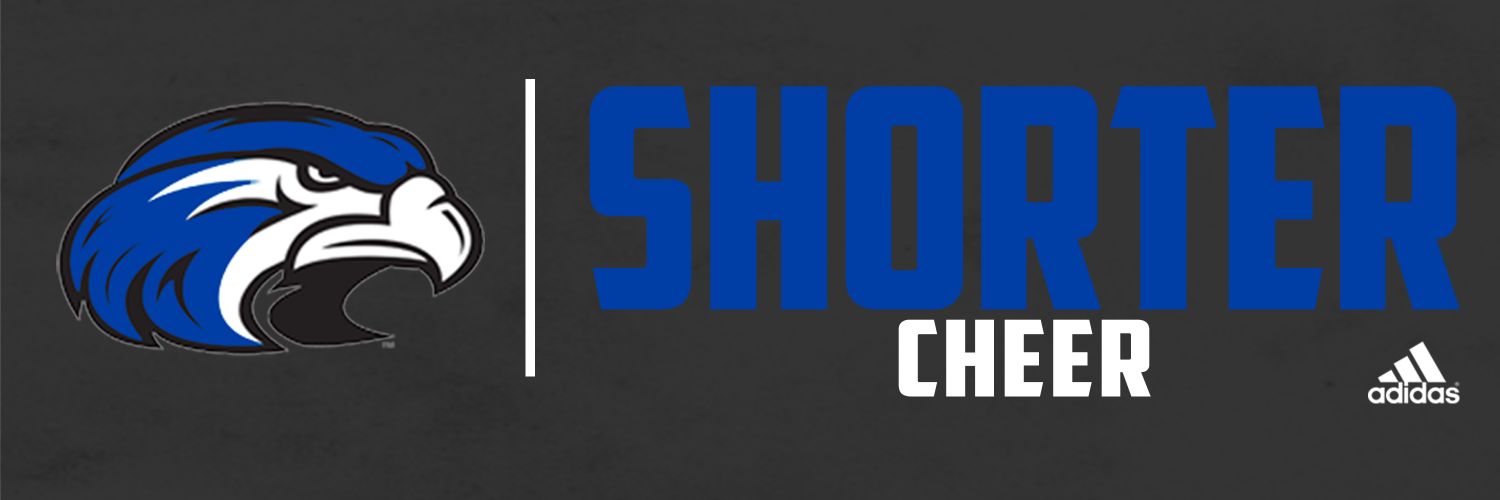 Shorter_Cheer's profile banner image