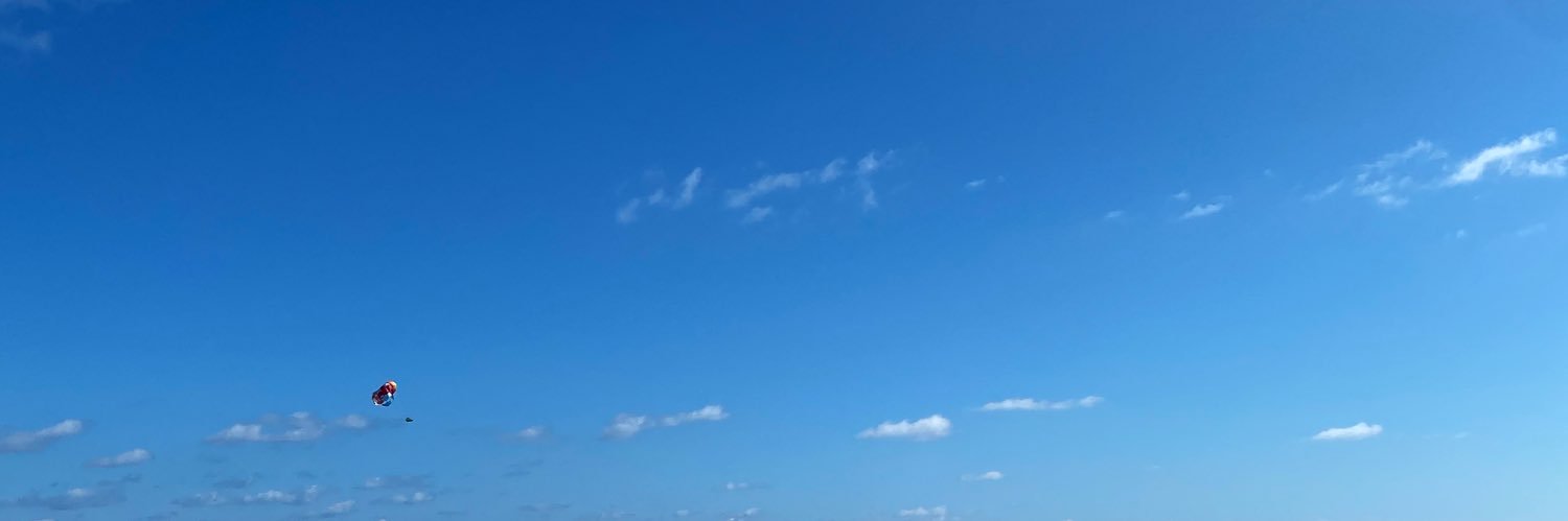 Karinn_Manning's profile banner image