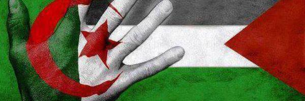 AlgMajda's profile banner image