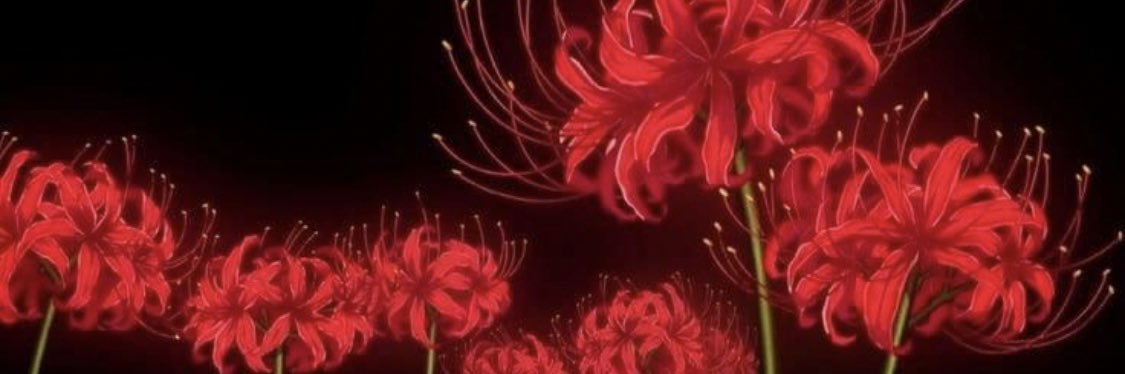 LoresXplosion banner