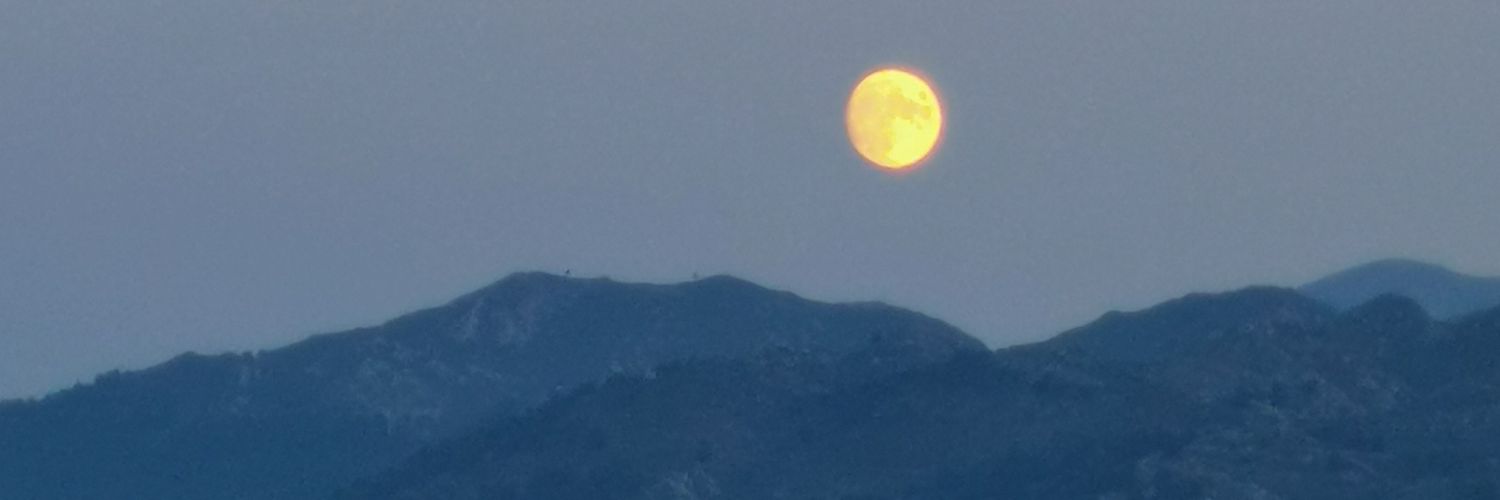 MaarioVidal's profile banner image