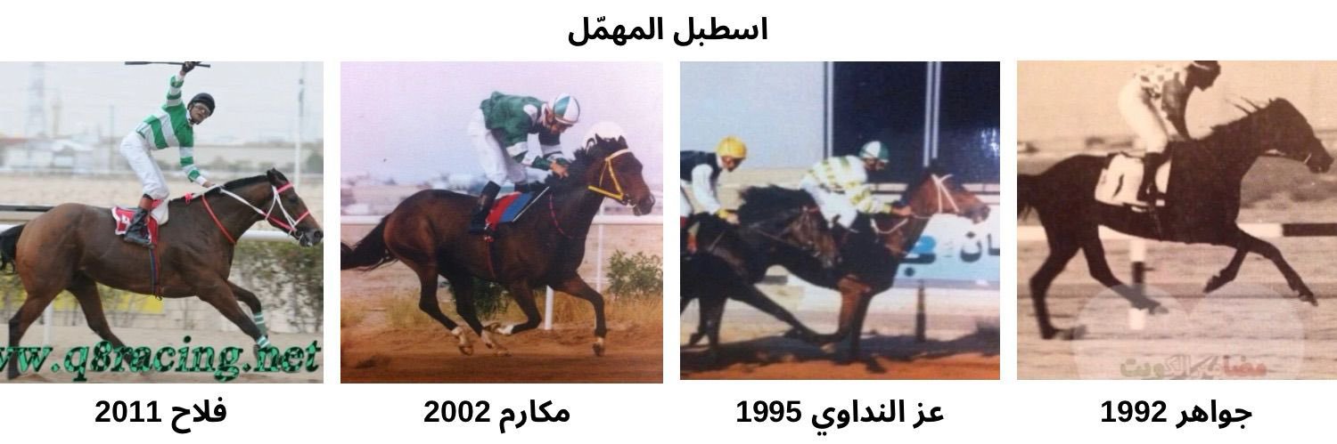 بدر المهمّل banner