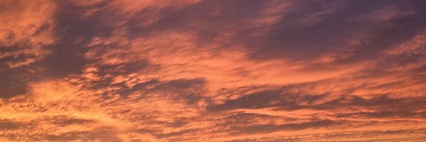 Kajikesa Profile Banner