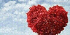 ROBERTO ALVAREZ banner