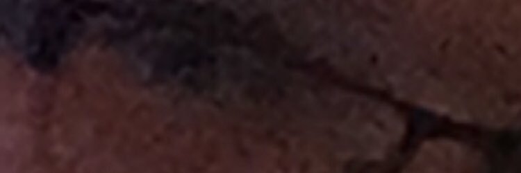 RealToliGee's profile banner image