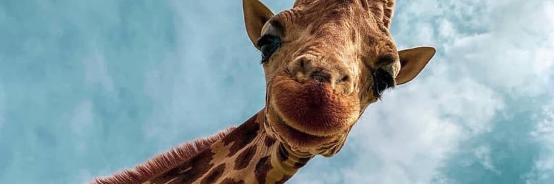 TheRantist's profile banner image