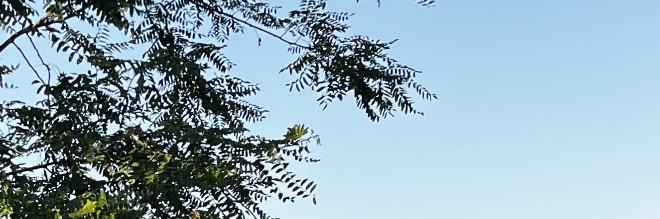 samser10's profile banner image