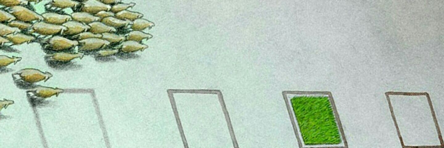 mariocappelli2's profile banner image