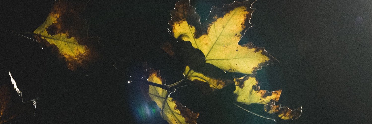 ensulr's profile banner image
