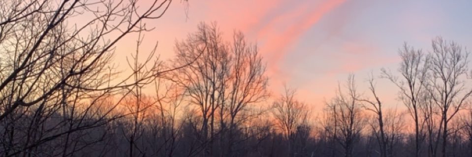 kalepo95's profile banner image