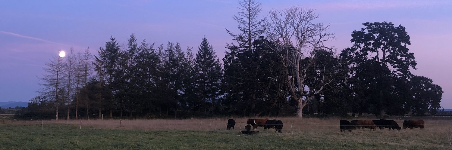 MeggieZamora's profile banner image