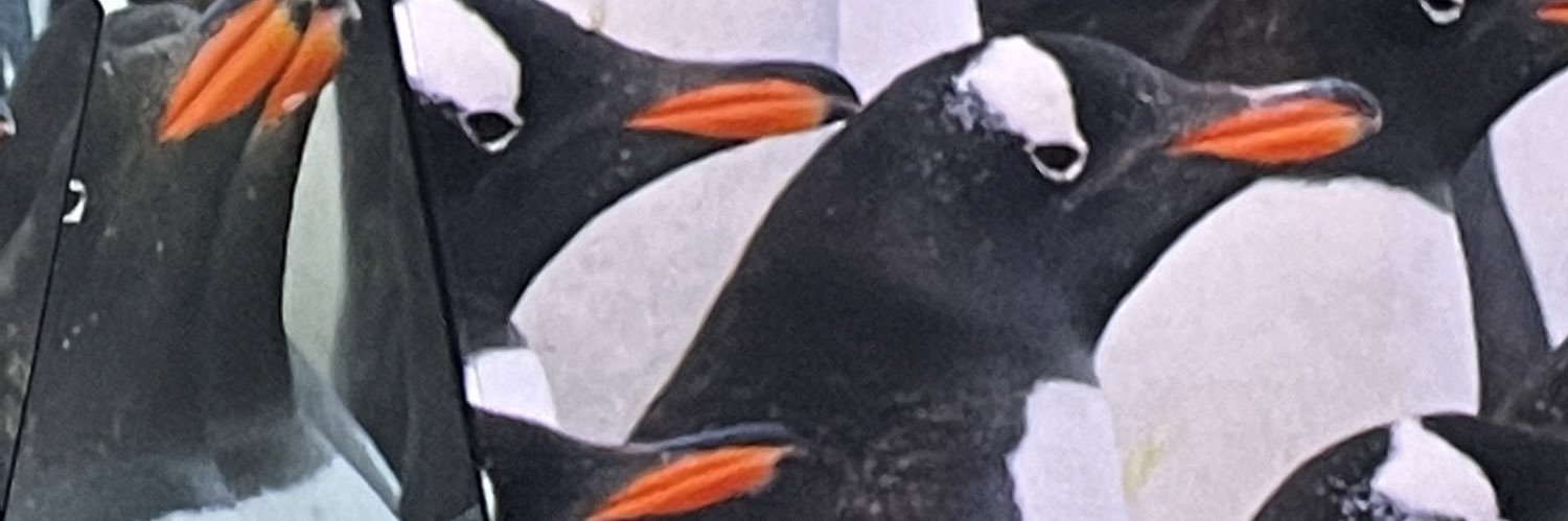 AmberKScott's profile banner image