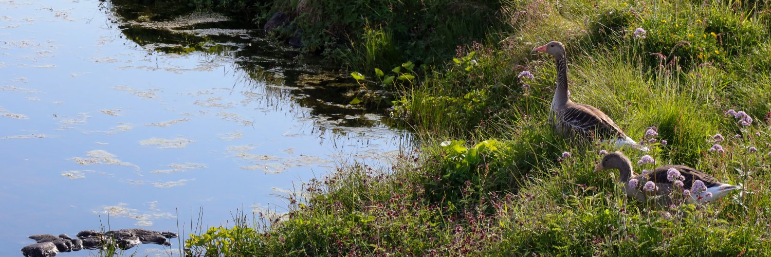 rlwullum @ 💙☁️ banner