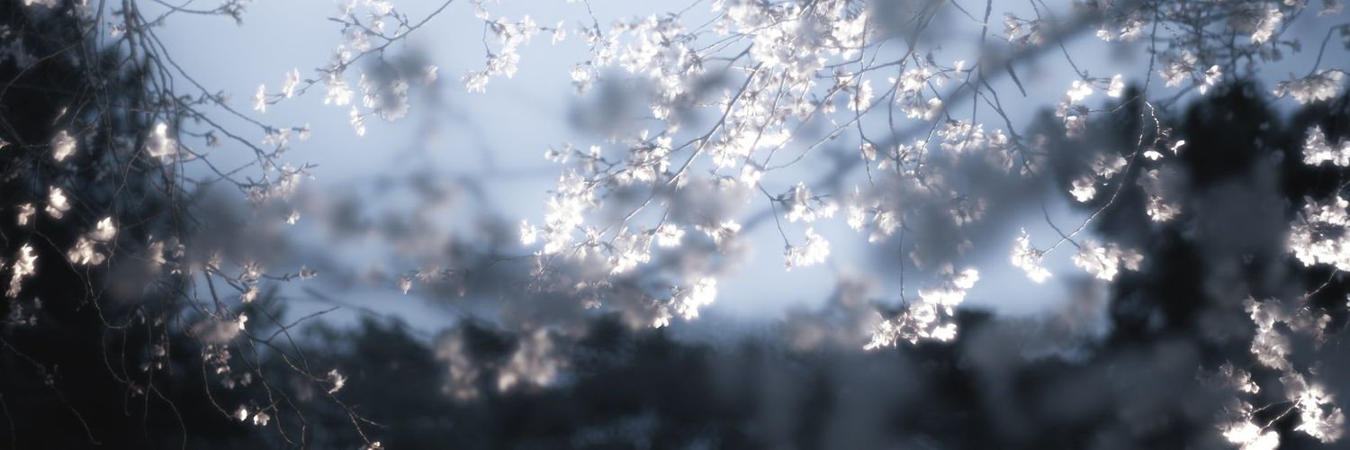 null404drop's profile banner image
